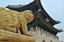 한국의 멋 - 팝코넷 | 포토 갤러리 한국의 멋