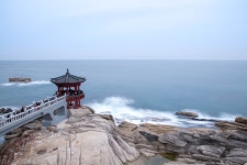 흔들리는 영금정 - 팝코넷 | 포토 갤러리 흔들리는 영금정