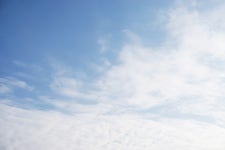 푸른 도화지에 하얀 크레파스 - 팝코넷 | 포토 갤러리 푸른 도화지에 하얀 크레파스