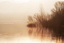 조용한 아침 풍경 - 팝코넷 | 포토 갤러리 조용한 아침 풍경