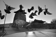 활기찬 아침 - 팝코넷 | 포토 갤러리 활기찬 아침