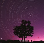 삼양목장 별일주(필름 사진) - 팝코넷 | 포토 갤러리 삼양목장 별일주(필름 사진)