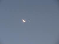 초승달 옆에 뜬 샛별 - 팝코넷 | 포토 갤러리 초승달 옆에 뜬 샛별