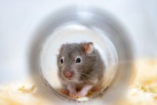 Look at Me - 팝코넷 | 포토 갤러리 Look at Me