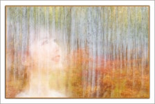 숲속의 미인 - 팝코넷 | 포토 갤러리 숲속의 미인