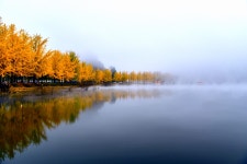 문광지 - 팝코넷 | 포토 갤러리 문광지