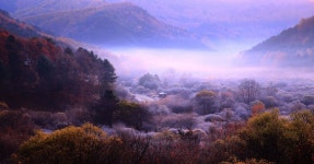 비밀의정원/뮤즈돌 | 인제 갑둔리 비밀의 정원 - 팝코넷 | 포토 갤러리 인제 갑둔리 비밀의 정원
