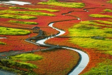 태평 - 팝코넷 | 포토 갤러리 태평