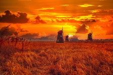 소래습지생태공원 - 팝코넷 | 포토 갤러리 소래습지생태공원