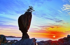 고성의 서낭바위 - 팝코넷 | 포토 갤러리 고성의 서낭바위