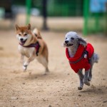 신난 바다와 사랑이 - 팝코넷 | 포토 갤러리 신난 바다와 사랑이