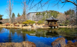 보문정 파노라마 - 팝코넷 | 포토 갤러리 보문정 파노라마