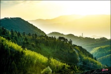 태백의 신록 - 팝코넷 | 포토 갤러리 태백의 신록
