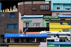 칠 작업 - 팝코넷 | 포토 갤러리 칠 작업