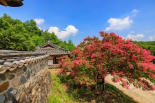 도계서원 - 팝코넷 | 포토 갤러리 도계서원