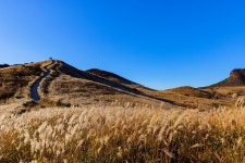 황매산 억새 - 팝코넷 | 포토 갤러리 황매산 억새