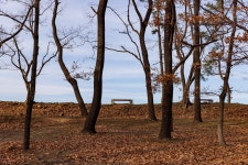 하늘벤치 - 팝코넷 | 포토 갤러리 하늘벤치