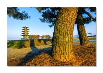 왕궁리 - 팝코넷 | 포토 갤러리 왕궁리
