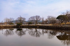 겨울과 봄 사이 - 팝코넷 | 포토 갤러리 겨울과 봄 사이
