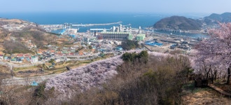 삼척항의 봄 - 팝코넷 | 포토 갤러리 삼척항의 봄