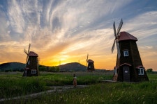 소래포 생태공원 - 팝코넷 | 포토 갤러리 소래포 생태공원