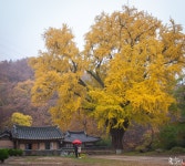 운곡서원 - 팝코넷 | 포토 갤러리 운곡서원