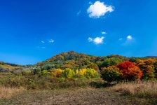 산골풍경 - 팝코넷 | 포토 갤러리 산골풍경