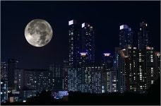 May Peace Prevail on Earth - 팝코넷 | 포토 갤러리 May Peace Prevail on Earth