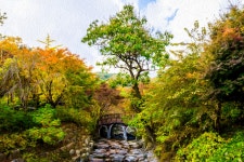 산장으로-가는길 - 팝코넷 | 포토 갤러리 산장으로-가는길