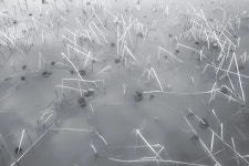 일생 일사 - 팝코넷 | 포토 갤러리 일생 일사