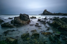 오랑대 - 팝코넷 | 포토 갤러리 오랑대