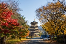 만추의 경주 - 팝코넷 | 포토 갤러리 만추의 경주