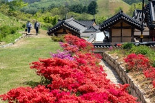 화려한 외출 - 팝코넷 | 포토 갤러리 화려한 외출