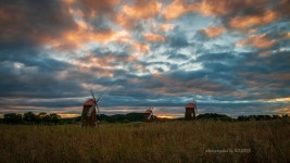 소래습지생태공원 - 팝코넷 | 포토 갤러리 소래습지생태공원