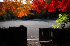 화려한 외출 - 팝코넷 | 포토 갤러리 화려한 외출