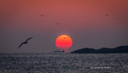 죽도 해돋이 - 팝코넷 | 포토 갤러리 죽도 해돋이