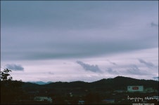 비온뒤 흐림.... - 팝코넷 | 포토 갤러리 비온뒤 흐림....