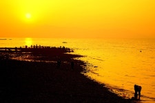 광포의 일상 - 팝코넷 | 포토 갤러리 광포의 일상