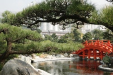 공원 - 팝코넷 | 포토 갤러리 공원