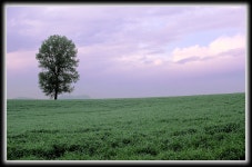 안성 목장의 풍경 - 팝코넷 | 포토 갤러리 안성 목장의 풍경