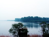 비 내리는 춘천 - 팝코넷 | 포토 갤러리 비 내리는 춘천