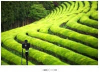 추억담기. - 팝코넷 | 포토 갤러리 추억담기.