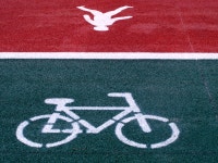 강변 산책로 - 팝코넷 | 포토 갤러리 강변 산책로