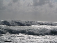 감포 앞 바다(3) - 팝코넷 | 포토 갤러리 감포 앞 바다(3)