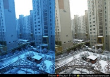 2007.12.07 눈온 날 아침 - 팝코넷 | 포토 갤러리 2007.12.07 눈온 날 아침