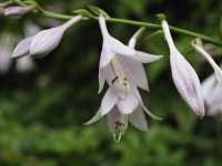 토욜! 나홀로 출사가다~ - 팝코넷 | 포토 갤러리 토욜! 나홀로 출사가다~