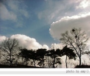 겨울하늘 - 팝코넷 | 포토 갤러리 겨울하늘