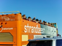 금문교 - 시그마 Talk 금문교