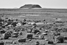 매향리 갯벌에서...II - 팝코넷 | 팝게&톡 이슈게시판 매향리 갯벌에서...II