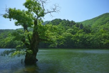주산지 - 시그마 Talk 주산지